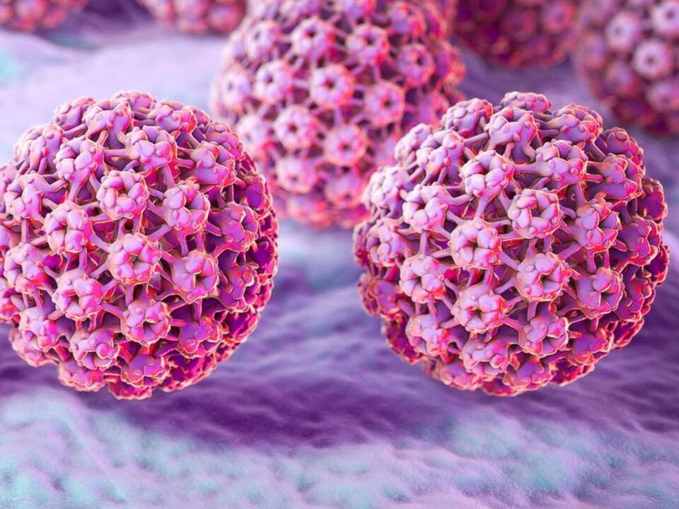 classification of the papilloma virus